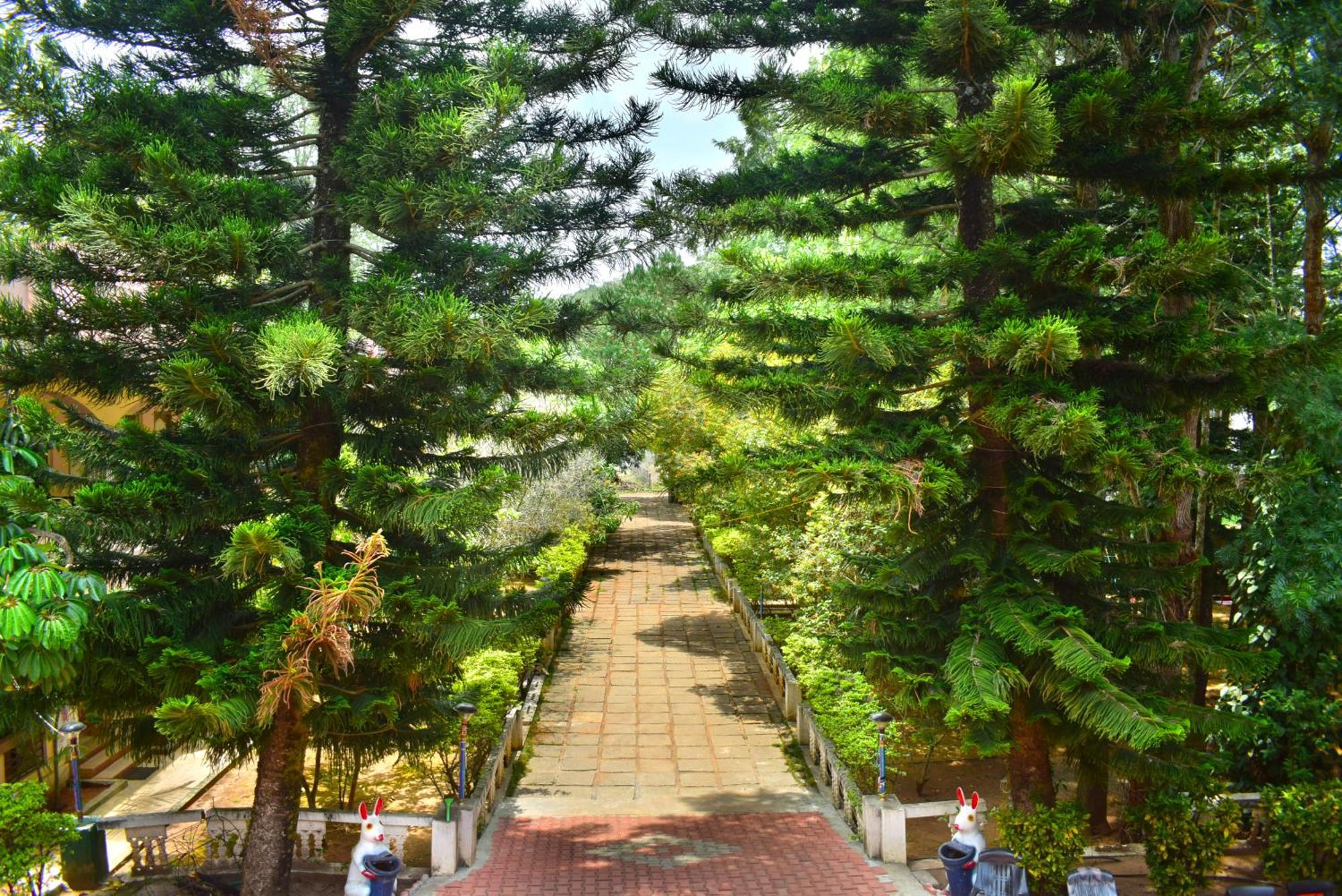 Jains Royal Palace Resorts Jelagiri Kültér fotó
